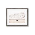 Picture of Horse in Field  _GroupedProduct_Rectangle_Landscape_Photography _GroupedProduct_Rectangle_Landscape_Framed_Matted_