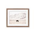 Picture of Horse in Field  _GroupedProduct_Rectangle_Landscape_Photography _GroupedProduct_Rectangle_Landscape_Framed_Matted_