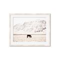 Picture of Horse in Field  _GroupedProduct_Rectangle_Landscape_Photography _GroupedProduct_Rectangle_Landscape_Framed_Matted_