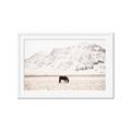 Picture of Horse in Field  _GroupedProduct_Rectangle_Landscape_Photography _GroupedProduct_Rectangle_Landscape_Framed_Matted_