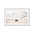 Picture of Horse in Field  _GroupedProduct_Rectangle_Landscape_Photography _GroupedProduct_Rectangle_Landscape_Framed_Matted_
