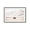 Picture of Horse in Field  _GroupedProduct_Rectangle_Landscape_Photography _GroupedProduct_Rectangle_Landscape_Framed_Matted_