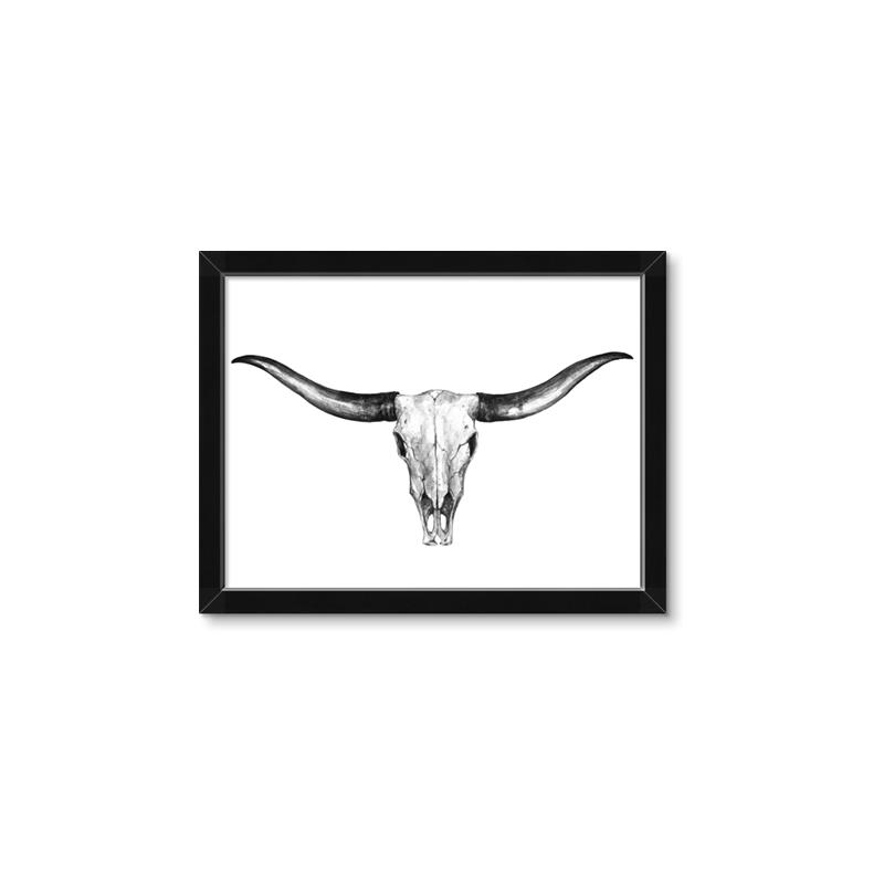 Picture of Skull _GroupedProduct_Rectangle_Landscape_Photography _GroupedProduct_Rectangle_Landscape_Framed_Matted_