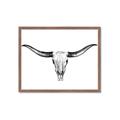 Picture of Skull _GroupedProduct_Rectangle_Landscape_Photography _GroupedProduct_Rectangle_Landscape_Framed_Matted_