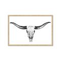 Picture of Skull _GroupedProduct_Rectangle_Landscape_Photography _GroupedProduct_Rectangle_Landscape_Framed_Matted_