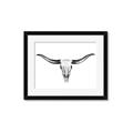 Picture of Skull _GroupedProduct_Rectangle_Landscape_Photography _GroupedProduct_Rectangle_Landscape_Framed_Matted_