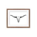 Picture of Skull _GroupedProduct_Rectangle_Landscape_Photography _GroupedProduct_Rectangle_Landscape_Framed_Matted_