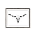 Picture of Skull _GroupedProduct_Rectangle_Landscape_Photography _GroupedProduct_Rectangle_Landscape_Framed_Matted_