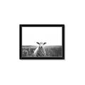 Picture of Field Sheep  _GroupedProduct_Rectangle_Landscape_Photography _GroupedProduct_Rectangle_Landscape_Framed_Matted_