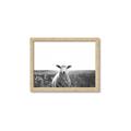 Picture of Field Sheep  _GroupedProduct_Rectangle_Landscape_Photography _GroupedProduct_Rectangle_Landscape_Framed_Matted_