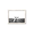 Picture of Field Sheep  _GroupedProduct_Rectangle_Landscape_Photography _GroupedProduct_Rectangle_Landscape_Framed_Matted_