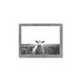 Picture of Field Sheep  _GroupedProduct_Rectangle_Landscape_Photography _GroupedProduct_Rectangle_Landscape_Framed_Matted_