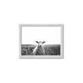 Picture of Field Sheep  _GroupedProduct_Rectangle_Landscape_Photography _GroupedProduct_Rectangle_Landscape_Framed_Matted_