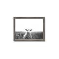 Picture of Field Sheep  _GroupedProduct_Rectangle_Landscape_Photography _GroupedProduct_Rectangle_Landscape_Framed_Matted_