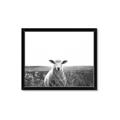 Picture of Field Sheep  _GroupedProduct_Rectangle_Landscape_Photography _GroupedProduct_Rectangle_Landscape_Framed_Matted_