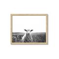 Picture of Field Sheep  _GroupedProduct_Rectangle_Landscape_Photography _GroupedProduct_Rectangle_Landscape_Framed_Matted_