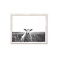 Picture of Field Sheep  _GroupedProduct_Rectangle_Landscape_Photography _GroupedProduct_Rectangle_Landscape_Framed_Matted_