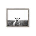 Picture of Field Sheep  _GroupedProduct_Rectangle_Landscape_Photography _GroupedProduct_Rectangle_Landscape_Framed_Matted_