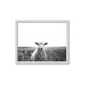 Picture of Field Sheep  _GroupedProduct_Rectangle_Landscape_Photography _GroupedProduct_Rectangle_Landscape_Framed_Matted_