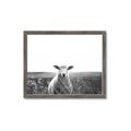 Picture of Field Sheep  _GroupedProduct_Rectangle_Landscape_Photography _GroupedProduct_Rectangle_Landscape_Framed_Matted_
