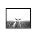 Picture of Field Sheep  _GroupedProduct_Rectangle_Landscape_Photography _GroupedProduct_Rectangle_Landscape_Framed_Matted_