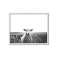 Picture of Field Sheep  _GroupedProduct_Rectangle_Landscape_Photography _GroupedProduct_Rectangle_Landscape_Framed_Matted_