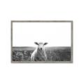 Picture of Field Sheep  _GroupedProduct_Rectangle_Landscape_Photography _GroupedProduct_Rectangle_Landscape_Framed_Matted_