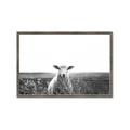 Picture of Field Sheep  _GroupedProduct_Rectangle_Landscape_Photography _GroupedProduct_Rectangle_Landscape_Framed_Matted_