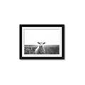 Picture of Field Sheep  _GroupedProduct_Rectangle_Landscape_Photography _GroupedProduct_Rectangle_Landscape_Framed_Matted_