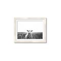 Picture of Field Sheep  _GroupedProduct_Rectangle_Landscape_Photography _GroupedProduct_Rectangle_Landscape_Framed_Matted_