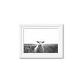 Picture of Field Sheep  _GroupedProduct_Rectangle_Landscape_Photography _GroupedProduct_Rectangle_Landscape_Framed_Matted_
