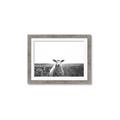 Picture of Field Sheep  _GroupedProduct_Rectangle_Landscape_Photography _GroupedProduct_Rectangle_Landscape_Framed_Matted_