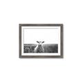 Picture of Field Sheep  _GroupedProduct_Rectangle_Landscape_Photography _GroupedProduct_Rectangle_Landscape_Framed_Matted_