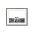 Picture of Field Sheep  _GroupedProduct_Rectangle_Landscape_Photography _GroupedProduct_Rectangle_Landscape_Framed_Matted_