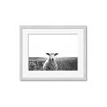 Picture of Field Sheep  _GroupedProduct_Rectangle_Landscape_Photography _GroupedProduct_Rectangle_Landscape_Framed_Matted_