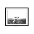 Picture of Field Sheep  _GroupedProduct_Rectangle_Landscape_Photography _GroupedProduct_Rectangle_Landscape_Framed_Matted_