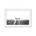 Picture of Field Sheep  _GroupedProduct_Rectangle_Landscape_Photography _GroupedProduct_Rectangle_Landscape_Framed_Matted_