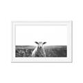 Picture of Field Sheep  _GroupedProduct_Rectangle_Landscape_Photography _GroupedProduct_Rectangle_Landscape_Framed_Matted_