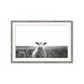 Picture of Field Sheep  _GroupedProduct_Rectangle_Landscape_Photography _GroupedProduct_Rectangle_Landscape_Framed_Matted_