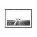 Picture of Field Sheep  _GroupedProduct_Rectangle_Landscape_Photography _GroupedProduct_Rectangle_Landscape_Framed_Matted_