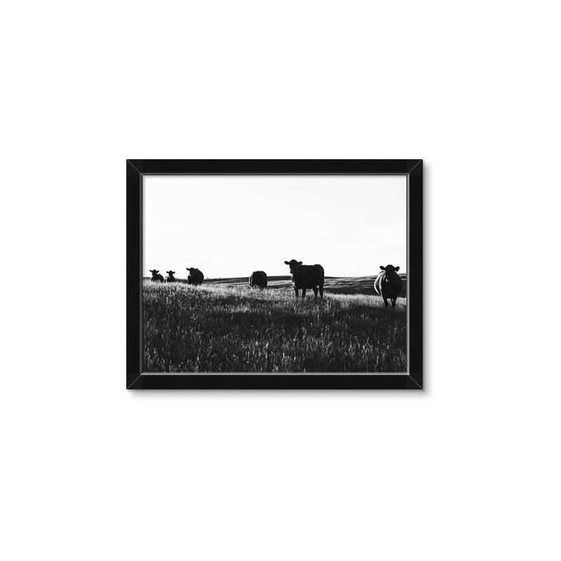 Picture of Cow Field  _GroupedProduct_Rectangle_Landscape_Photography _GroupedProduct_Rectangle_Landscape_Framed_Matted_