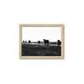 Picture of Cow Field  _GroupedProduct_Rectangle_Landscape_Photography _GroupedProduct_Rectangle_Landscape_Framed_Matted_