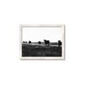 Picture of Cow Field  _GroupedProduct_Rectangle_Landscape_Photography _GroupedProduct_Rectangle_Landscape_Framed_Matted_