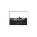 Picture of Cow Field  _GroupedProduct_Rectangle_Landscape_Photography _GroupedProduct_Rectangle_Landscape_Framed_Matted_
