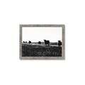 Picture of Cow Field  _GroupedProduct_Rectangle_Landscape_Photography _GroupedProduct_Rectangle_Landscape_Framed_Matted_