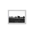 Picture of Cow Field  _GroupedProduct_Rectangle_Landscape_Photography _GroupedProduct_Rectangle_Landscape_Framed_Matted_