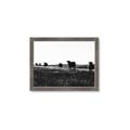 Picture of Cow Field  _GroupedProduct_Rectangle_Landscape_Photography _GroupedProduct_Rectangle_Landscape_Framed_Matted_