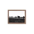 Picture of Cow Field  _GroupedProduct_Rectangle_Landscape_Photography _GroupedProduct_Rectangle_Landscape_Framed_Matted_