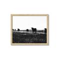 Picture of Cow Field  _GroupedProduct_Rectangle_Landscape_Photography _GroupedProduct_Rectangle_Landscape_Framed_Matted_