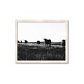 Picture of Cow Field  _GroupedProduct_Rectangle_Landscape_Photography _GroupedProduct_Rectangle_Landscape_Framed_Matted_